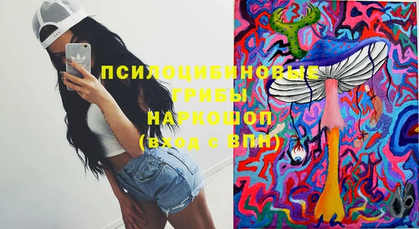 спайс Верея