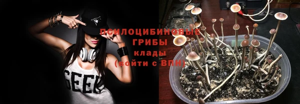 спайс Верея