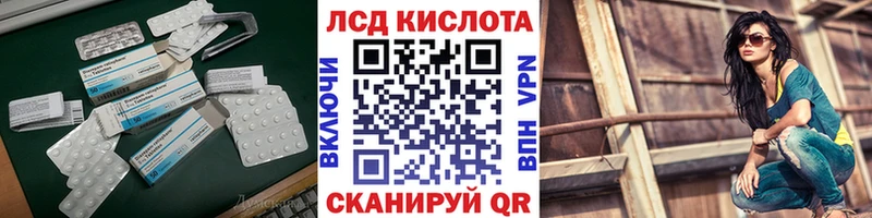 как найти закладки  Новоржев  гидра как войти  ЛСД экстази ecstasy 