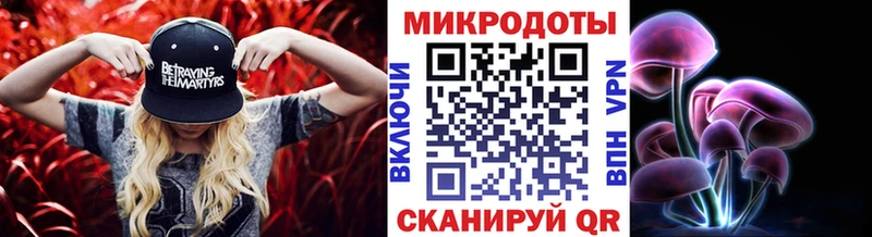 Галлюциногенные грибы Psilocybe Новоржев